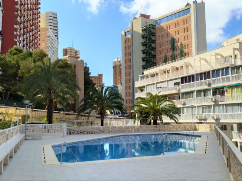 Halcón