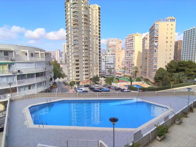 Halcón