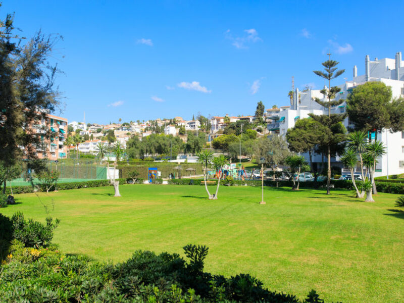 Calaflores