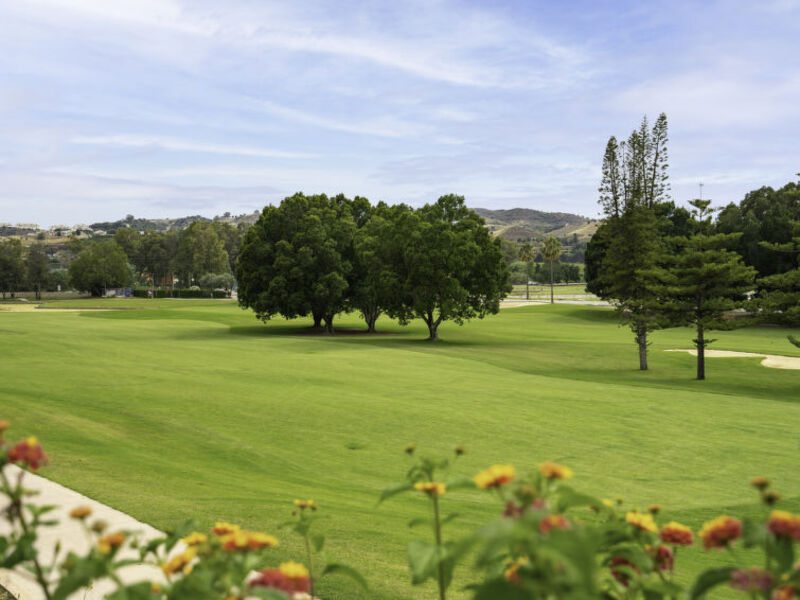 Golf & Sun Pool View