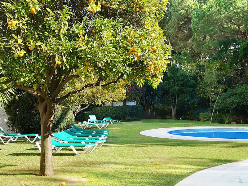 Jardines Del Mar