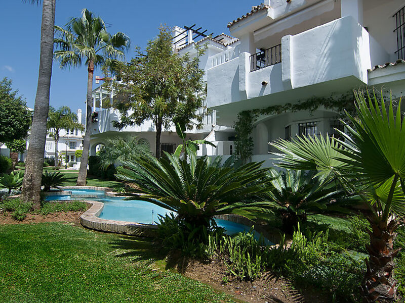Los Naranjos