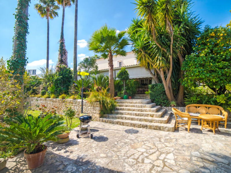 Oasis Muntaner