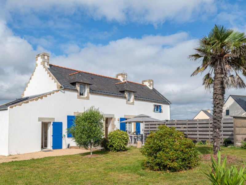 Les Palmiers