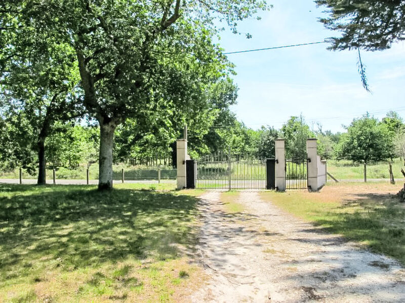 Campagne