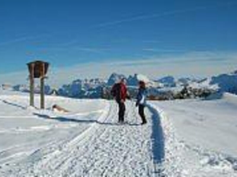 Appartementhaus Waldquell