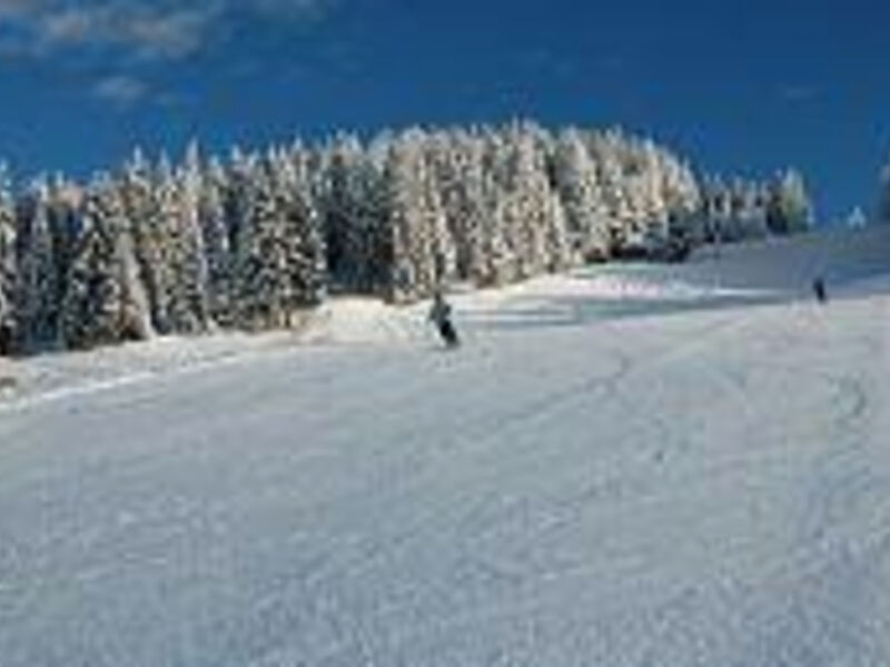 Appartementhaus Waldquell