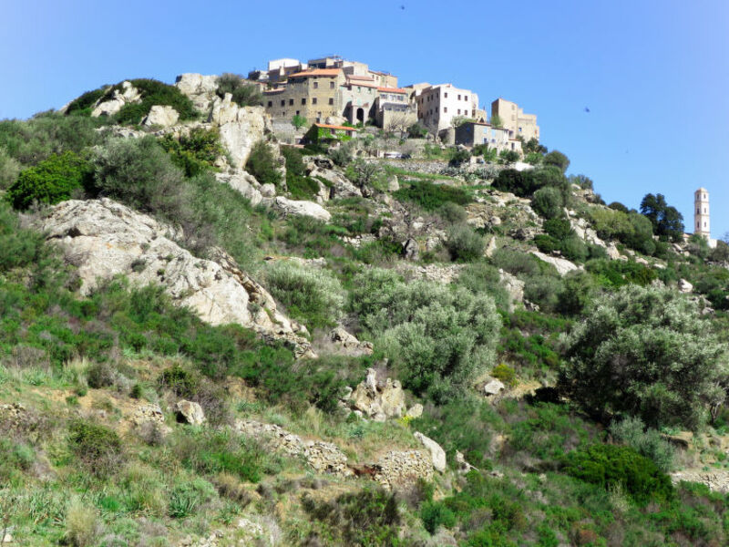 Marcelli