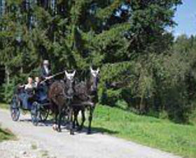 Hotel Garni La Maison