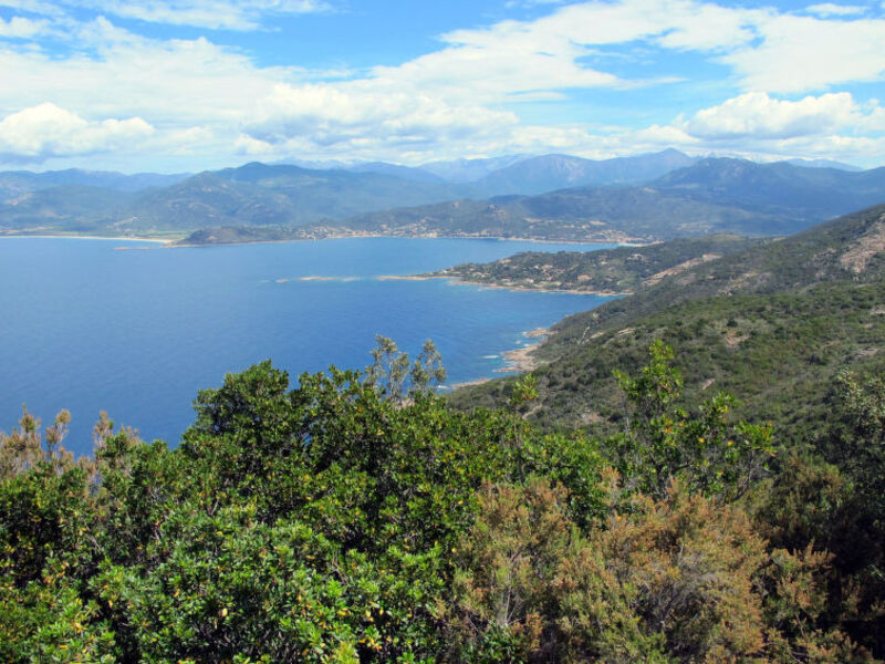 Résidence Punta Paliagi