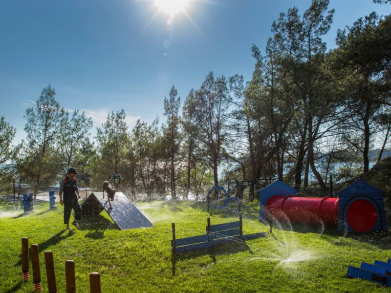 Camping Lanterna