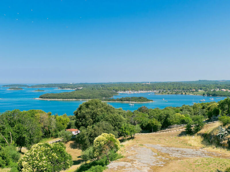 Zollia