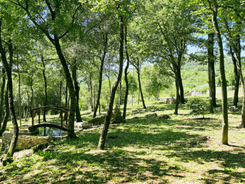 Panorama 2