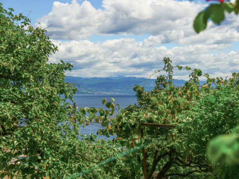 Edo
