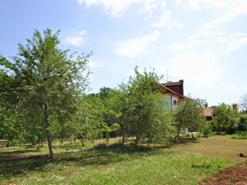 Franjo