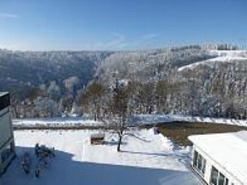 Hotel Wartburghotel Winterberg