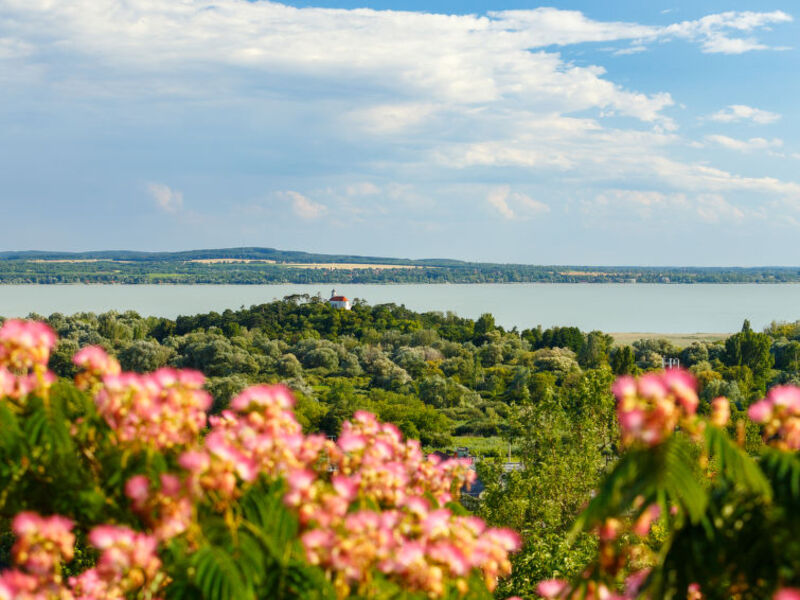 Balaton H603