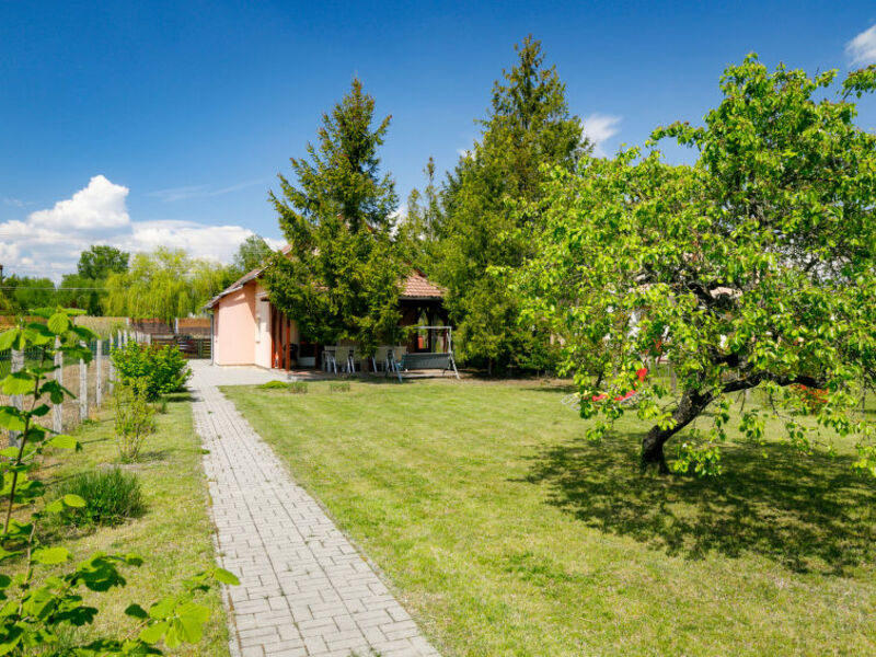 Pear Trees
