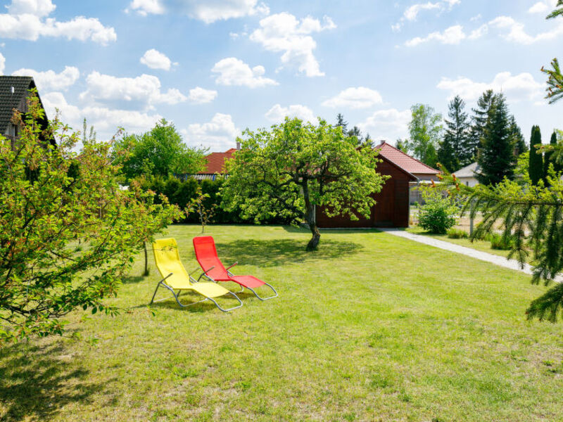 Pear Trees