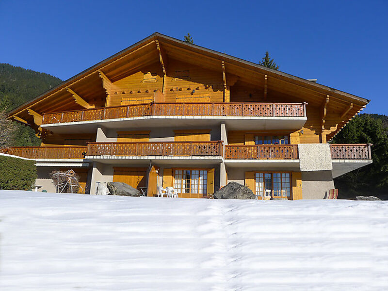 Argentière 3