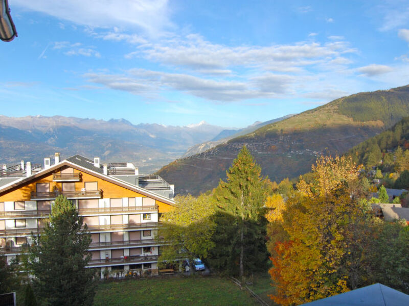 Montfort 17a