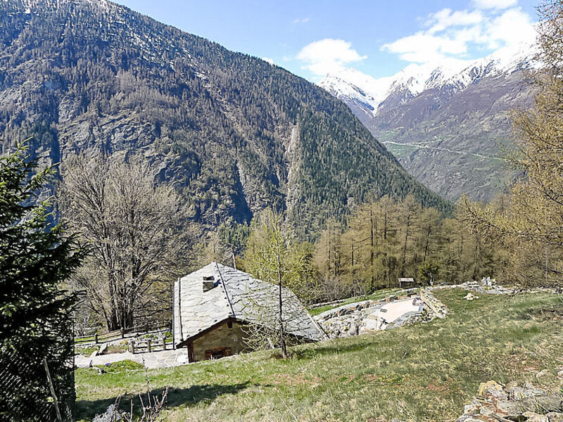 Bildji