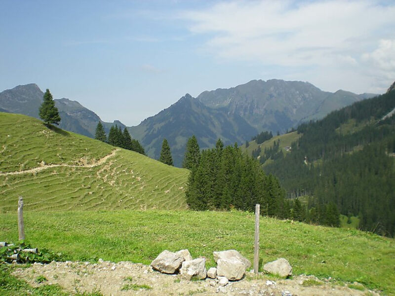 Höfli
