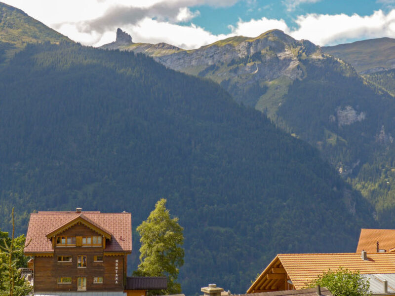 Bella Vista