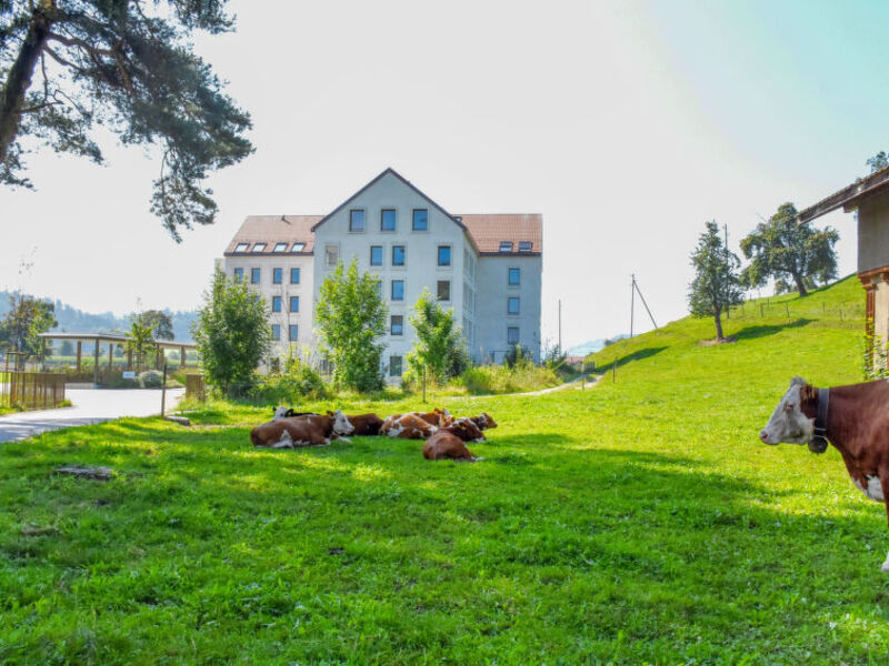 Mülihof