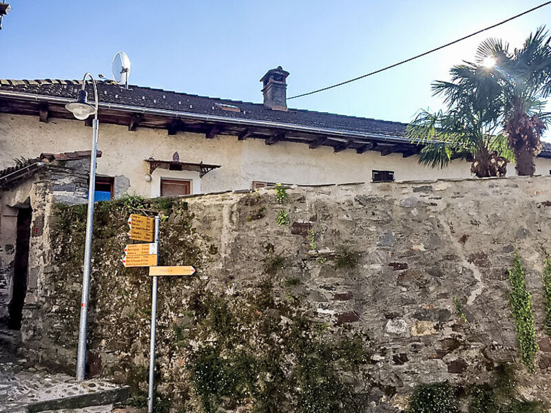 Pipistrello