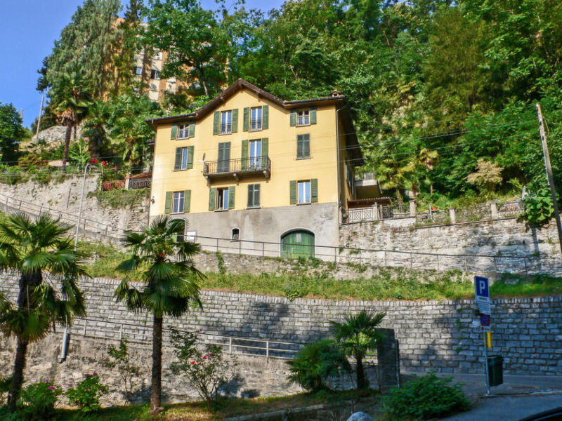 Tazzino