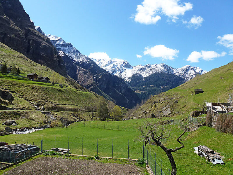 Rustico Orino