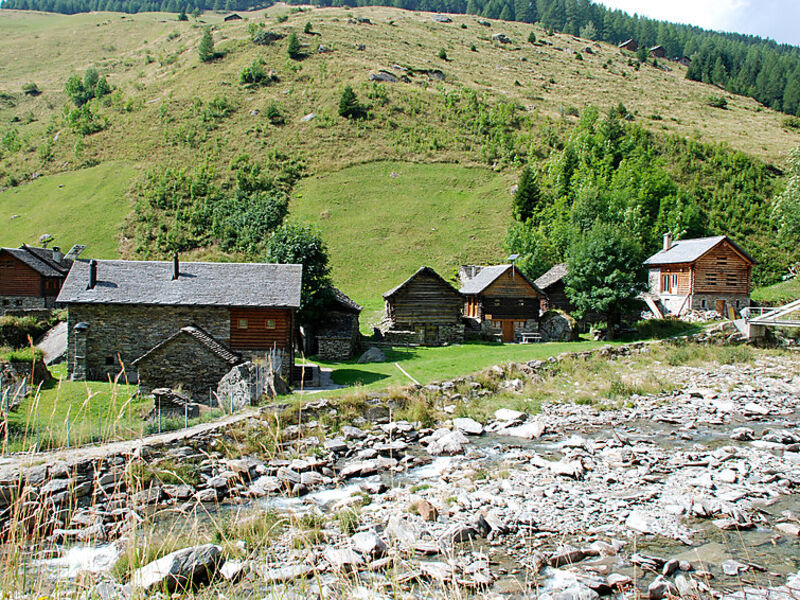 Rustico Orino