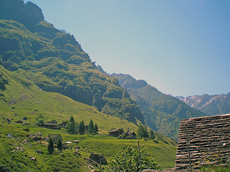 Rustico Orino