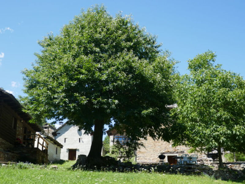 Haus Ingrid