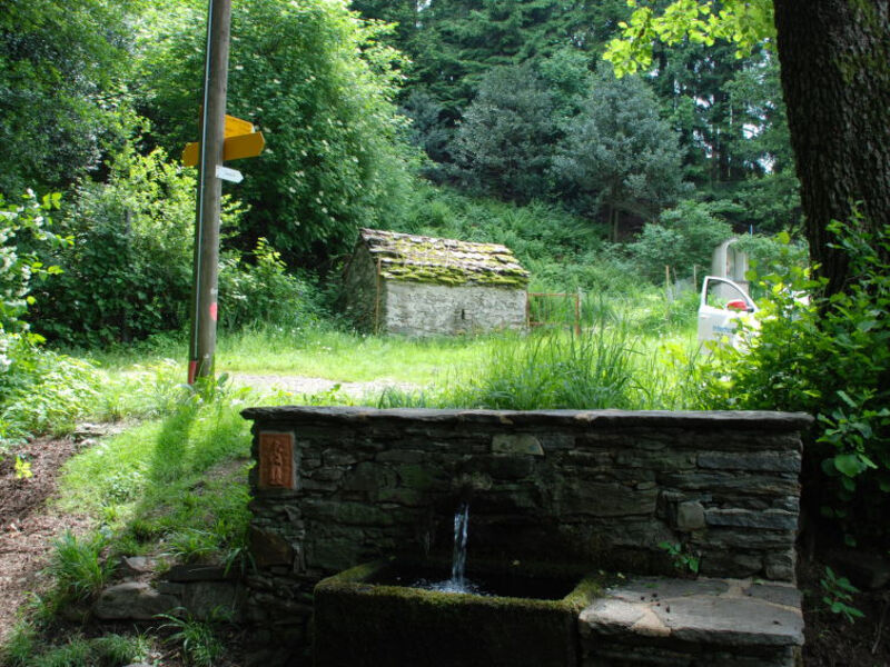 Rustico Lorenza
