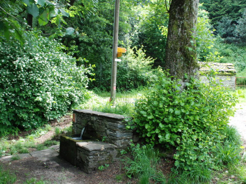 Rustico Lorenza