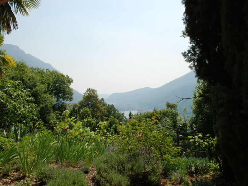 Studio Al Vigneto