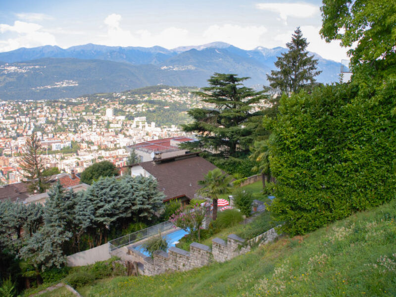Nido Di Rondine