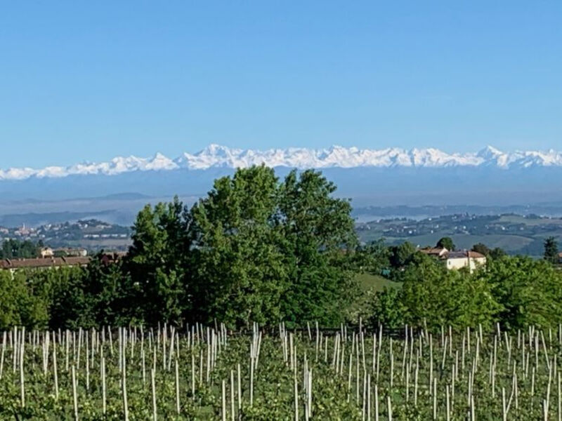 Cascina Vigne