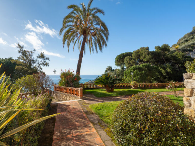 Belvedere