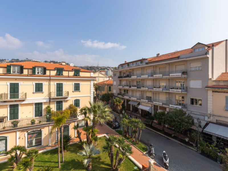 Intemelia