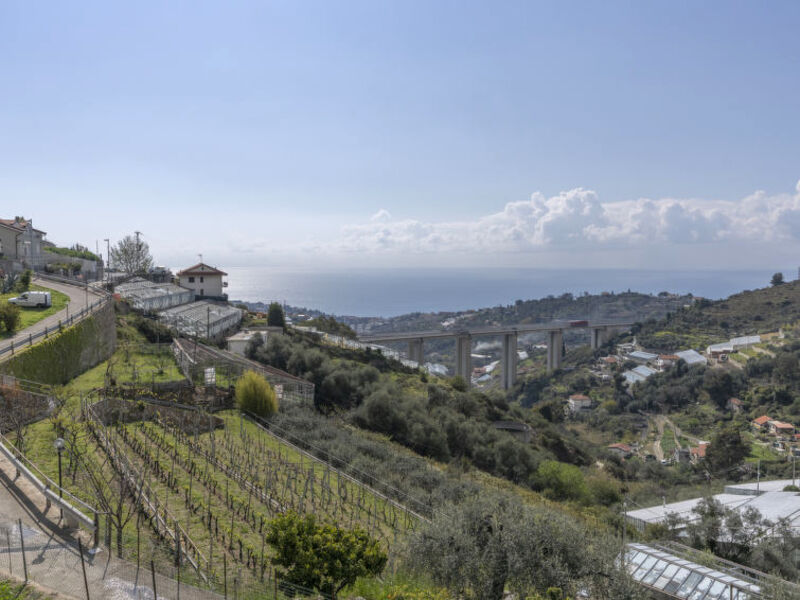 Casetta In Collina