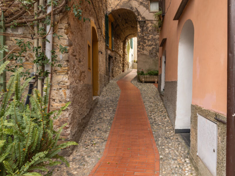Lorenzo