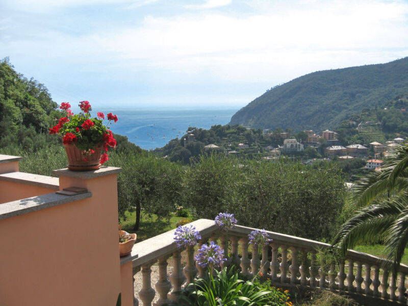 Casa Diana
