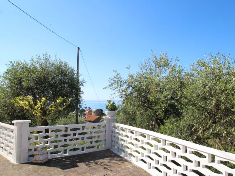 Casa Nueva