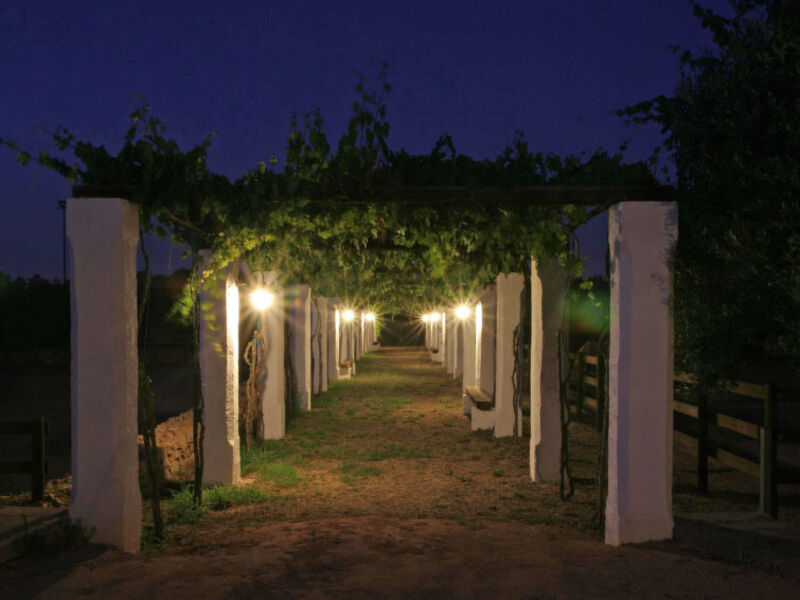 Tenuta Aphrodite