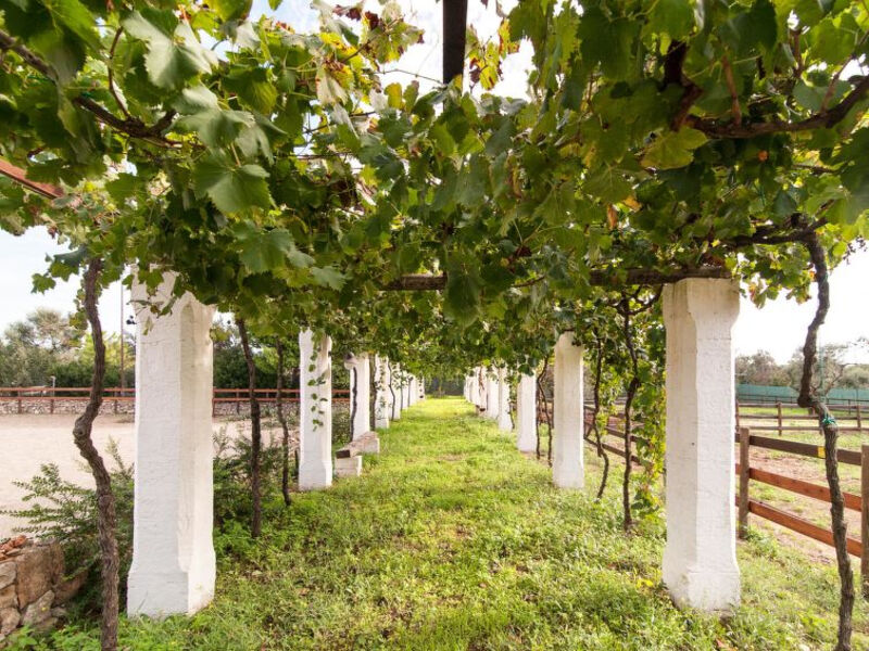Tenuta Aphrodite