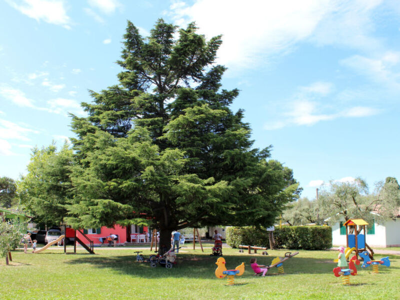 Camping Cisano & San Vito