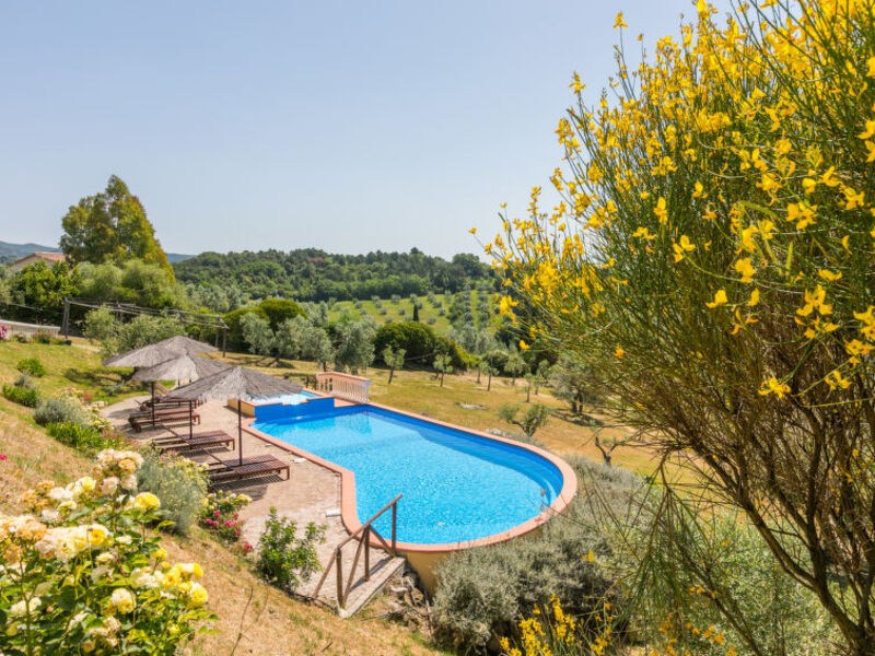 Poggio agli Olivi